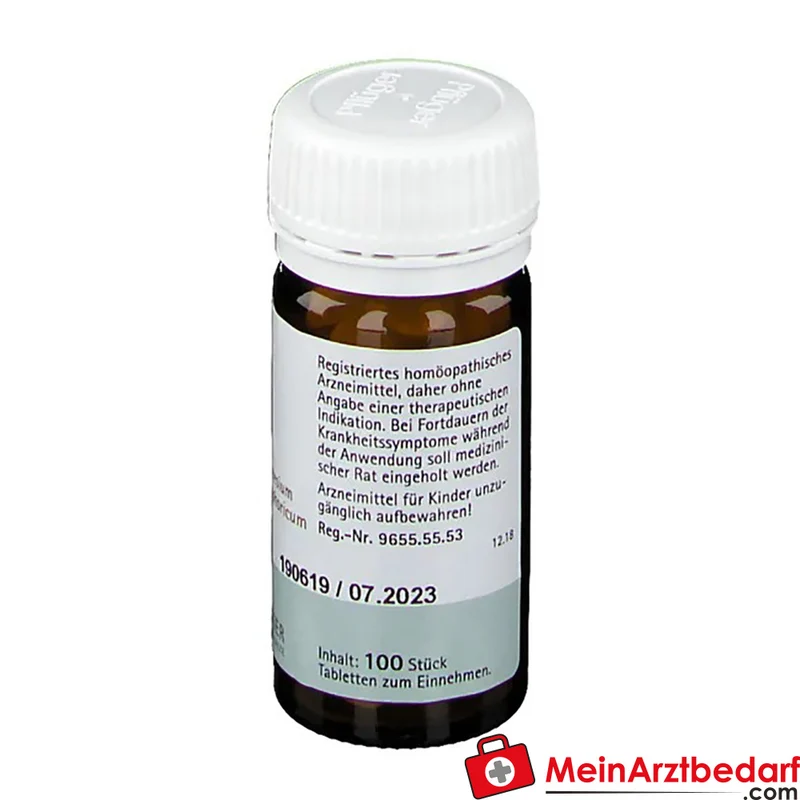 Biochemie Pflüger Nr. 7 Magnesium phosphoricum D6 250 mg Tabletten