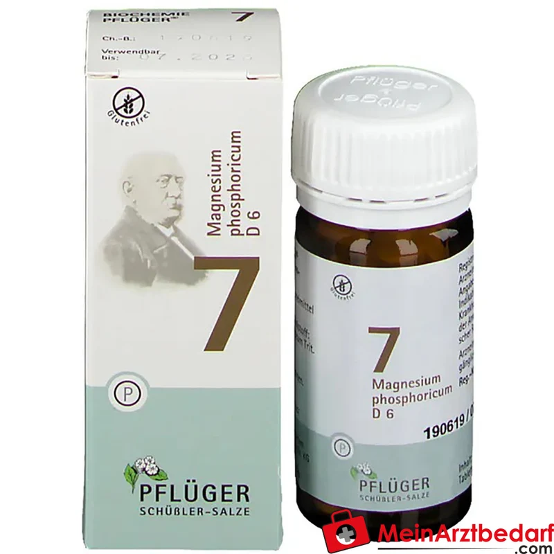 Biochemie Pflüger Nr. 7 Magnesium phosphoricum D6 250 mg Tabletten