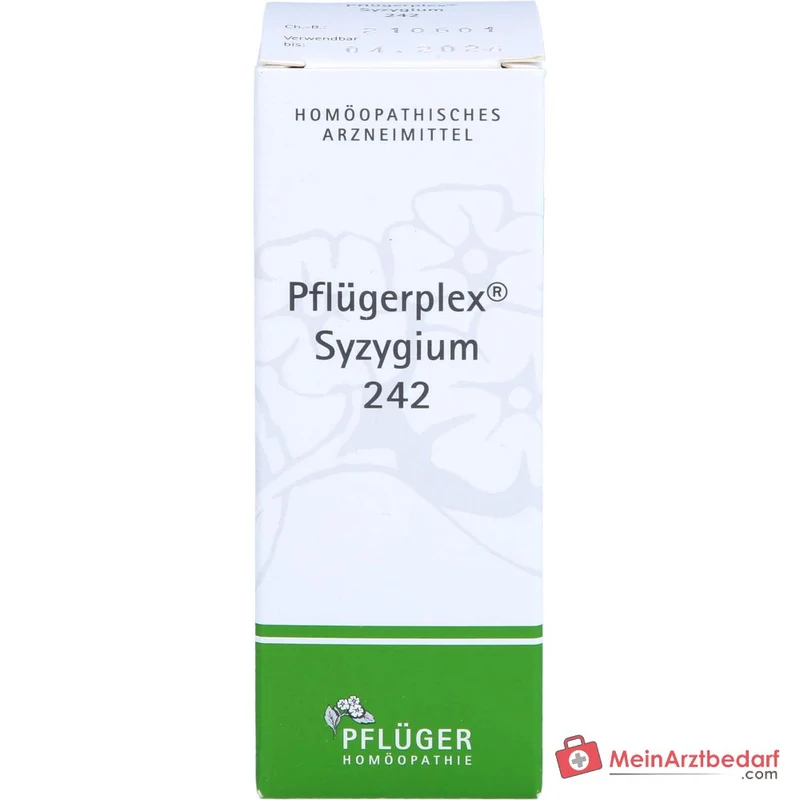 Pflügerplex Syzygium 242 Tropfen (Chionanthus virginicus D4, Syzygium cumini D2, Acidum lacticum D12) 50 ml