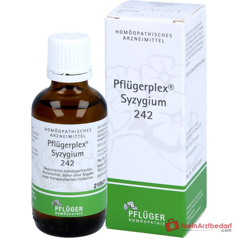 Pflügerplex Syzygium 242 Tropfen (Chionanthus virginicus D4, Syzygium cumini D2, Acidum lacticum D12) 50 ml
