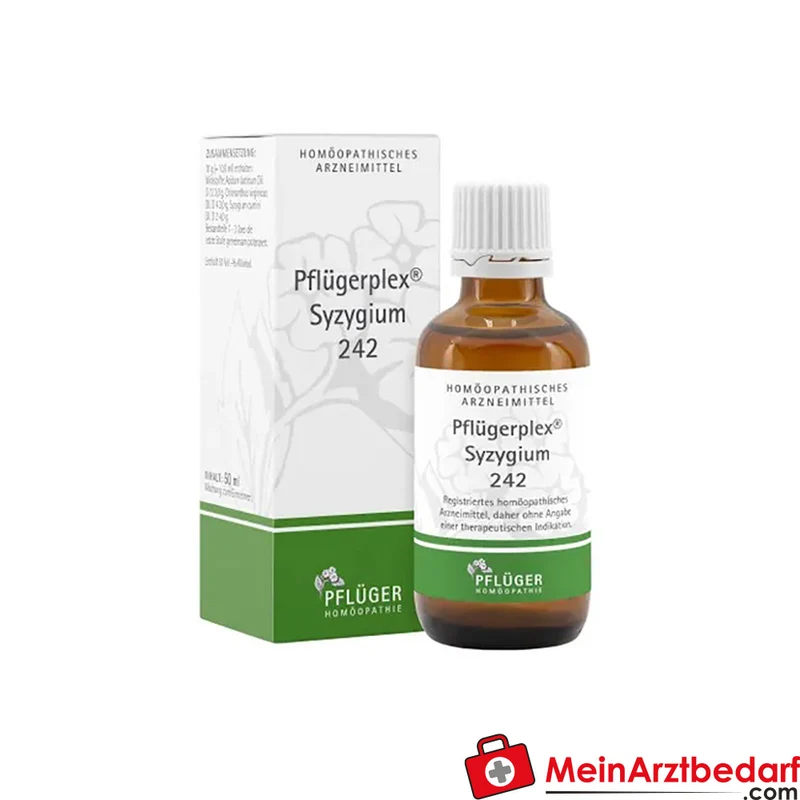 Pflügerplex Syzygium 242 Tropfen (Chionanthus virginicus D4, Syzygium cumini D2, Acidum lacticum D12) 50 ml