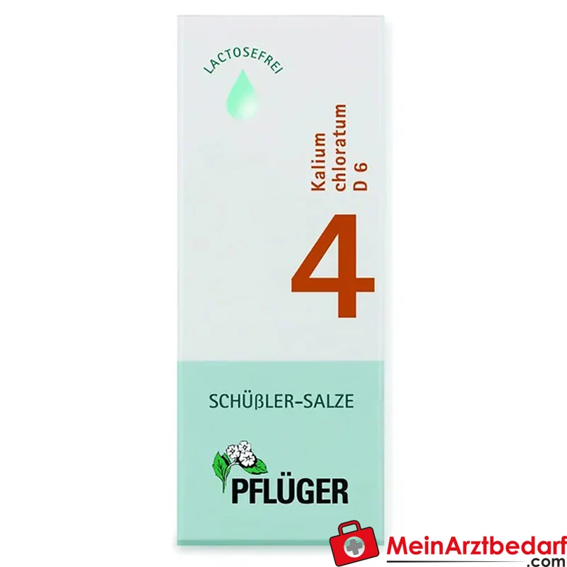 Biochemie Pflüger Nr. 4 Kalium chloratum D6 Tropfen 1000 mg 100 ml