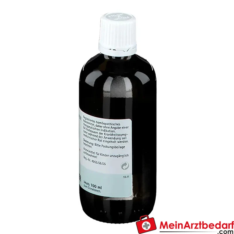 Biochemie Pflüger Nr. 4 Kalium chloratum D6 Tropfen 1000 mg 100 ml