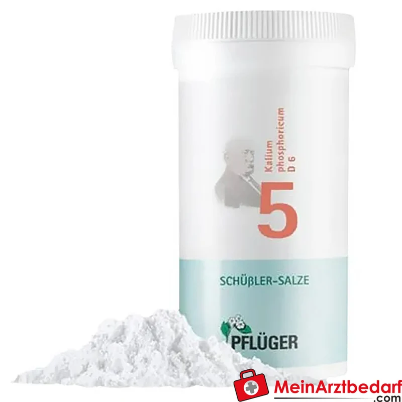 Pflüger Biochemie Nr. 5 Kalium phosphoricum D6 Pulver, 100 g
