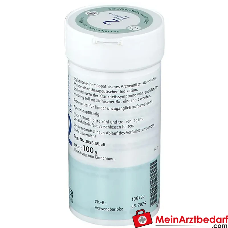 Biochemie Pflüger Nr. 2 Calcium phosphoricum D6 Pulver, 100 g