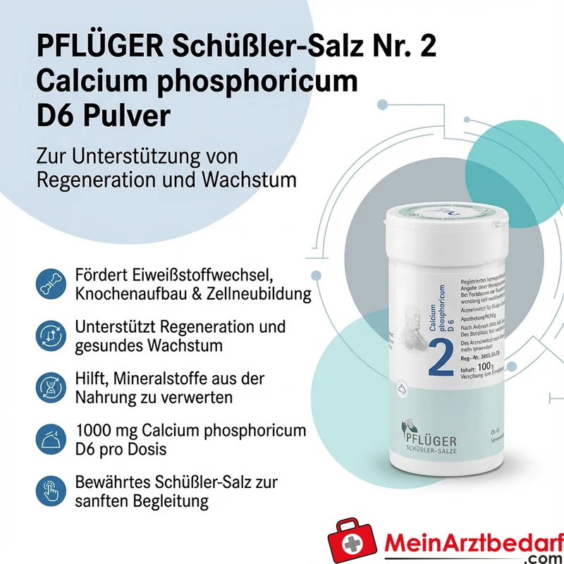 Biochemie Pflüger Nr. 2 Calcium phosphoricum D6 Pulver, 100 g