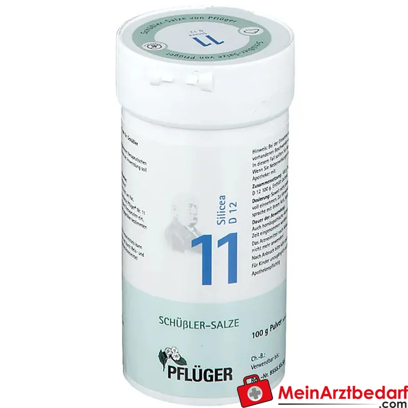 Biochemie Pflüger® Nr. 11 Silicea D12 Pulver 1000 mg