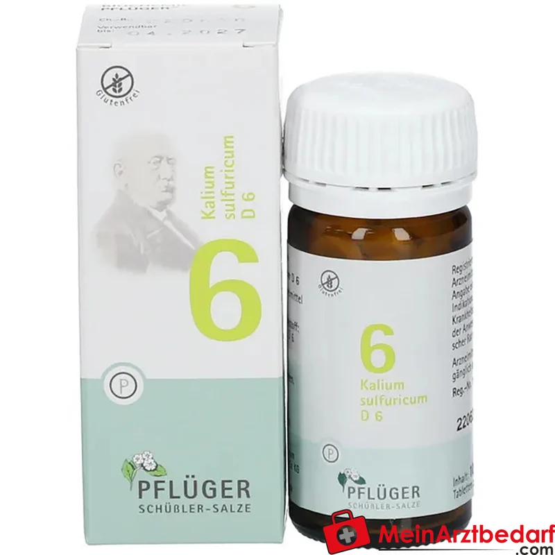 Biochemie Pflüger Nr. 6 Kalium sulfuricum D6 250 mg Tabletten