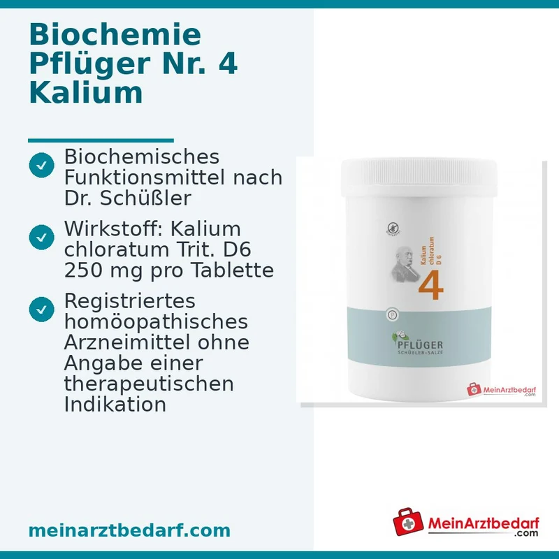 Biochemie Pflüger Nr. 4 Kalium chloratum D6 Tabletten 100 Stück