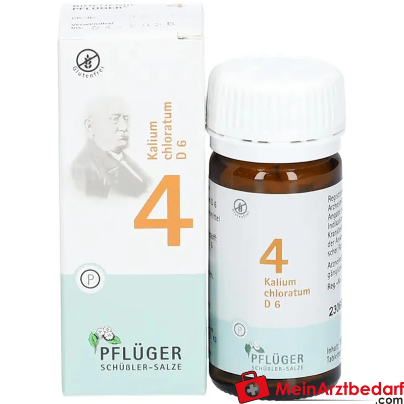 Biochemie Pflüger Nr. 4 Kalium chloratum D6 Tabletten 100 Stück