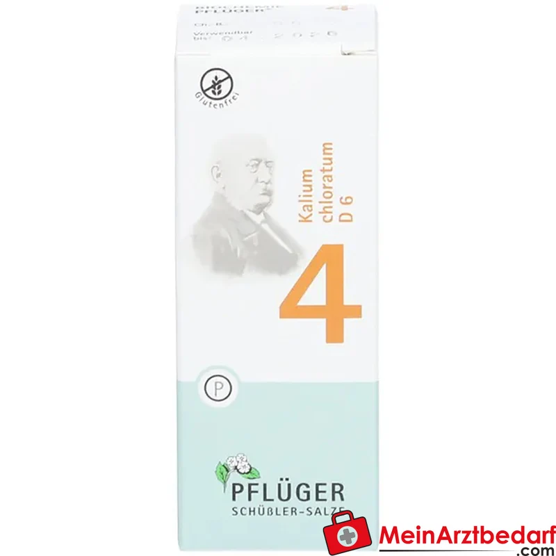 Biochemie Pflüger Nr. 4 Kalium chloratum D6 Tabletten 100 Stück