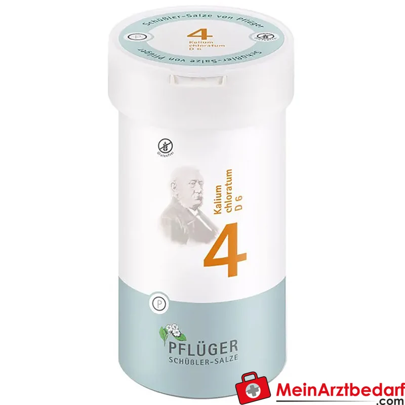 Biochemie Pflüger Nr. 4 Kalium chloratum D6 Tabletten 100 Stück