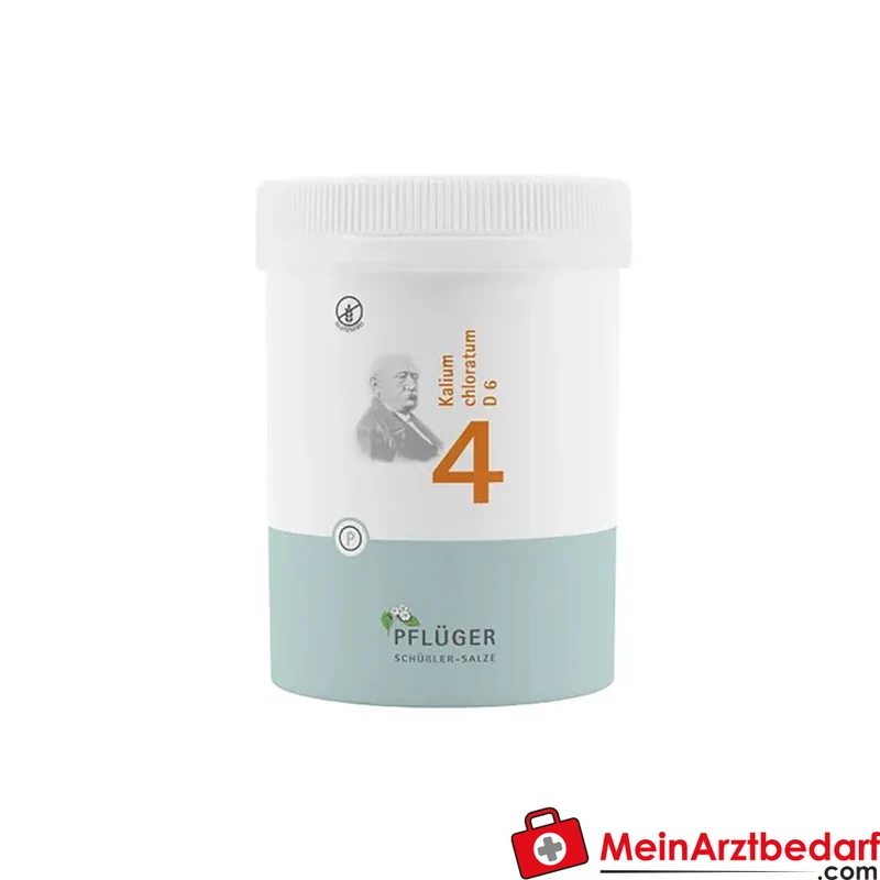Biochemie Pflüger Nr. 4 Kalium chloratum D6 Tabletten 100 Stück