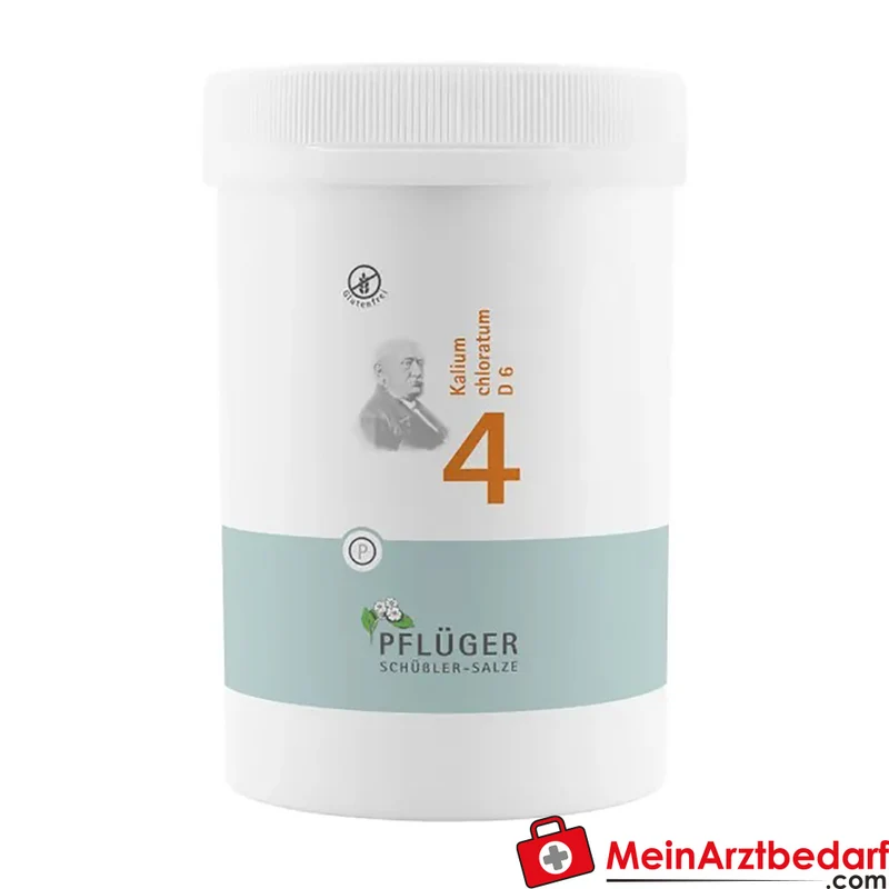 Biochemie Pflüger Nr. 4 Kalium chloratum D6 Tabletten 100 Stück