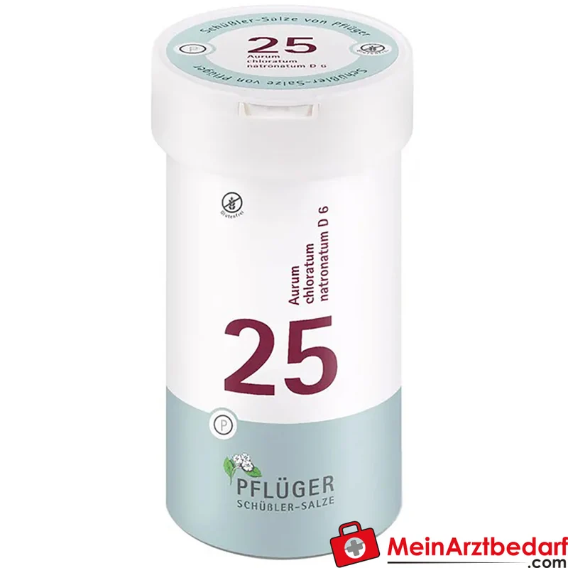 Biochemie Pflüger Aurum chloratum natronatum D6 Tabletten 250 mg, 100 St