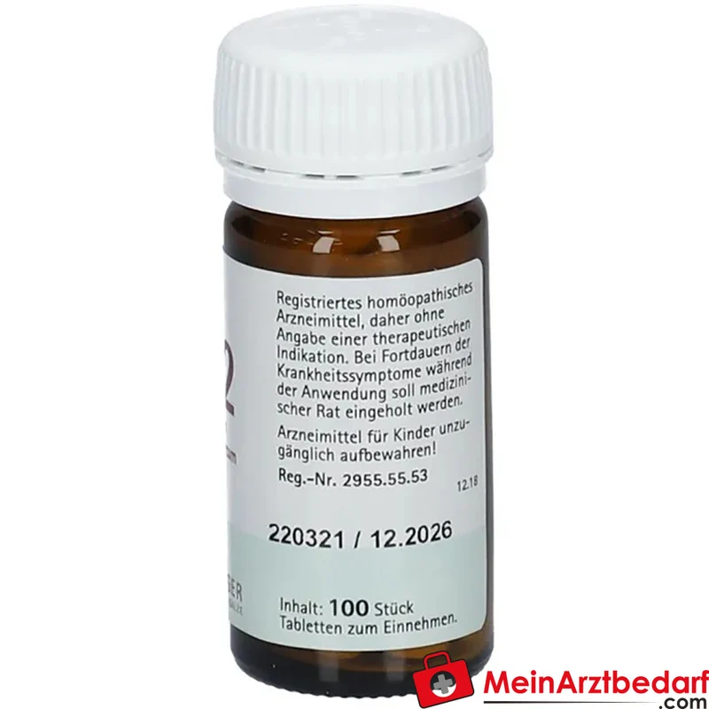 Biochemie Pflüger® Nr. 22 Calcium carbonicum D6 250 mg Tabletten