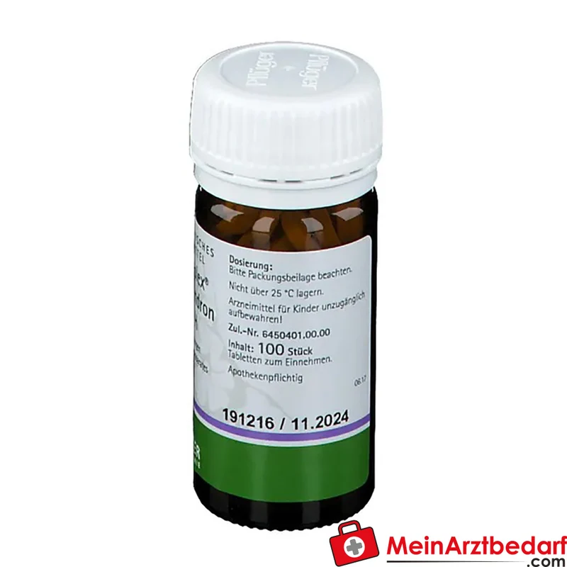 Pflüger Pflügerplex Rhododendron 307 H Acidum silicicum / Bryonia / Chelidonium majus / Filipendula ulmaria / Guajacum / Rhododendron / Thuja occidentalis Tabletten, 100 St.
