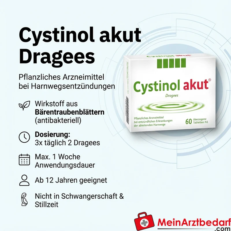 Cystinol akut Bärentraubenblatt‑Extrakt Dragees