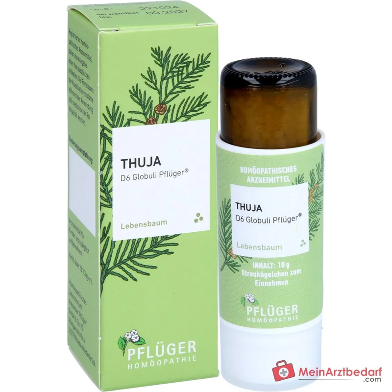 Pflüger Thuja D6 Globuli Thuja occidentalis D6 Streukügelchen 10 g