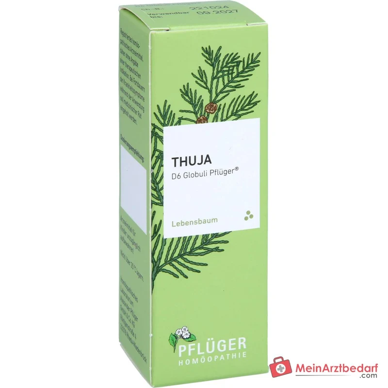 Pflüger Thuja D6 Globuli Thuja occidentalis D6 Streukügelchen 10 g