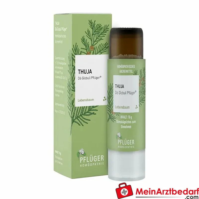 Pflüger Thuja D6 Globuli Thuja occidentalis D6 Streukügelchen 10 g