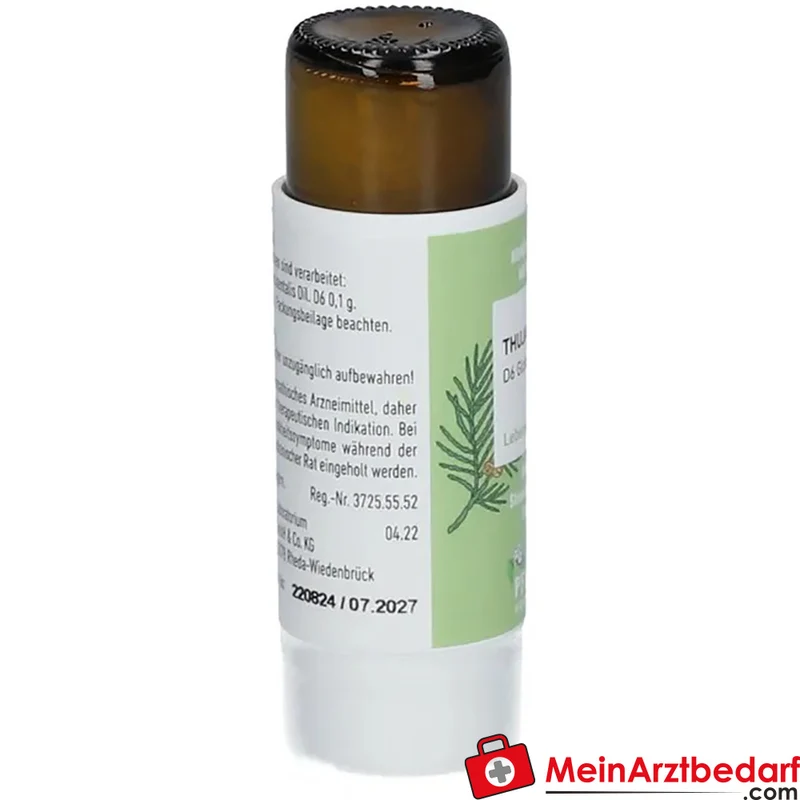 Pflüger Thuja D6 Globuli Thuja occidentalis D6 Streukügelchen 10 g