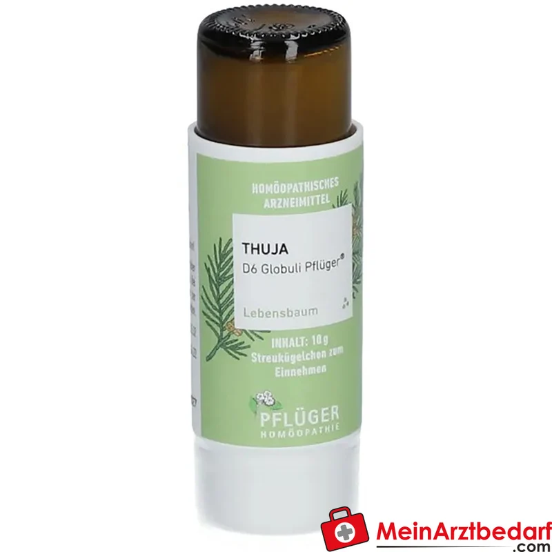 Pflüger Thuja D6 Globuli Thuja occidentalis D6 Streukügelchen 10 g