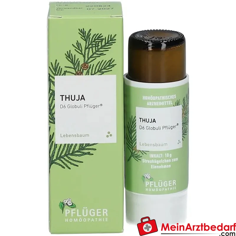 Pflüger Thuja D6 Globuli Thuja occidentalis D6 Streukügelchen 10 g