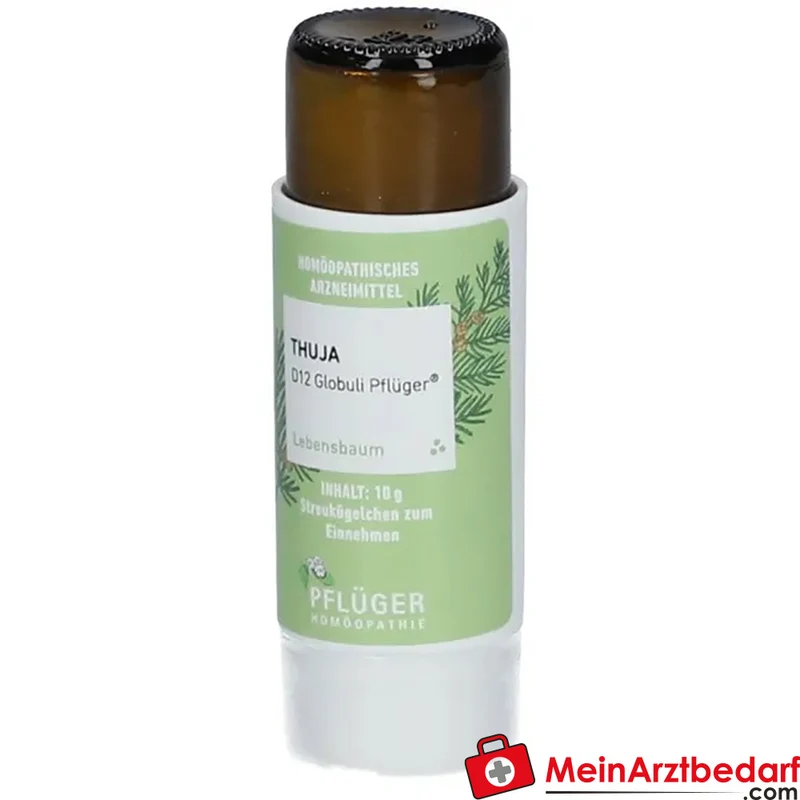 Pflüger Thuja D12 Globuli 10 g mit Dosierspender
