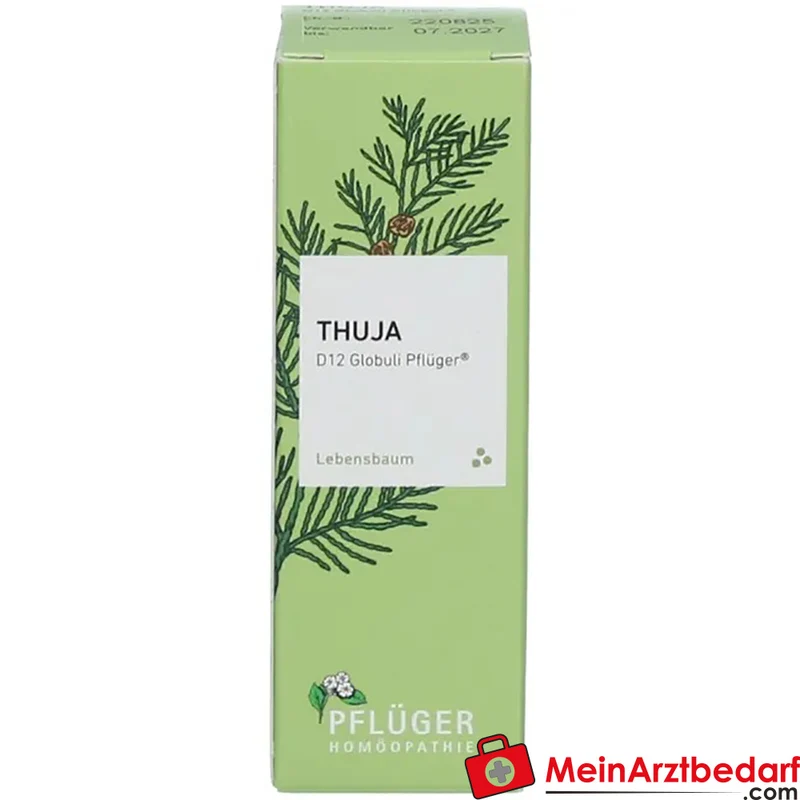 Pflüger Thuja D12 Globuli 10 g mit Dosierspender