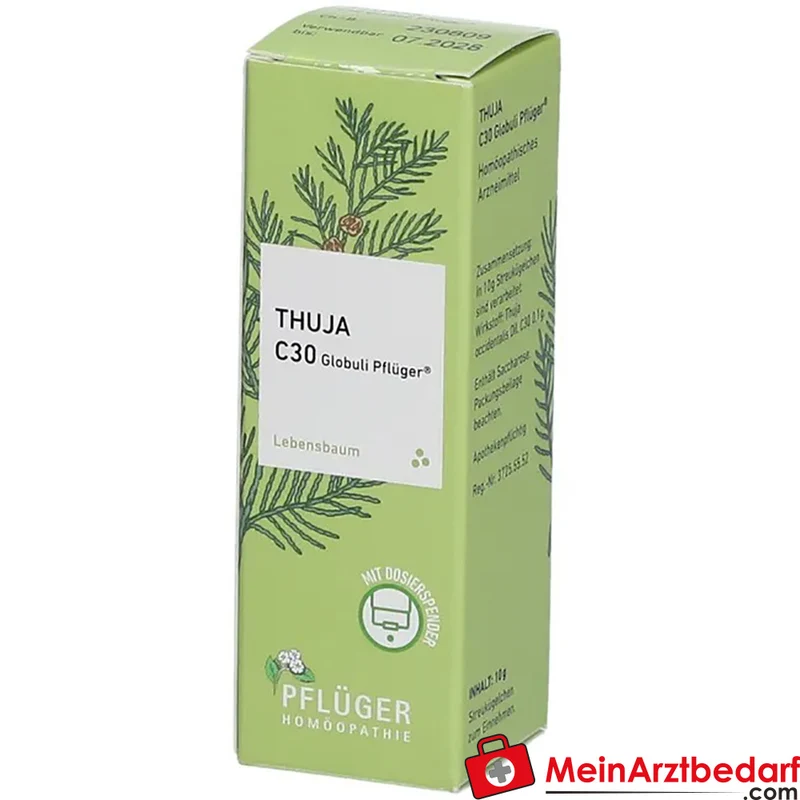 Pflüger Thuja extern Globuli Thuja occidentalis C30 (10 mg) 10 g