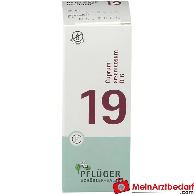 Biochemie Pflüger Nr. 19 Cuprum arsenicosum D6 250 mg Tabletten
