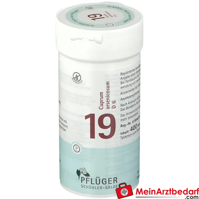 Biochemie Pflüger Nr. 19 Cuprum arsenicosum D6 250 mg Tabletten
