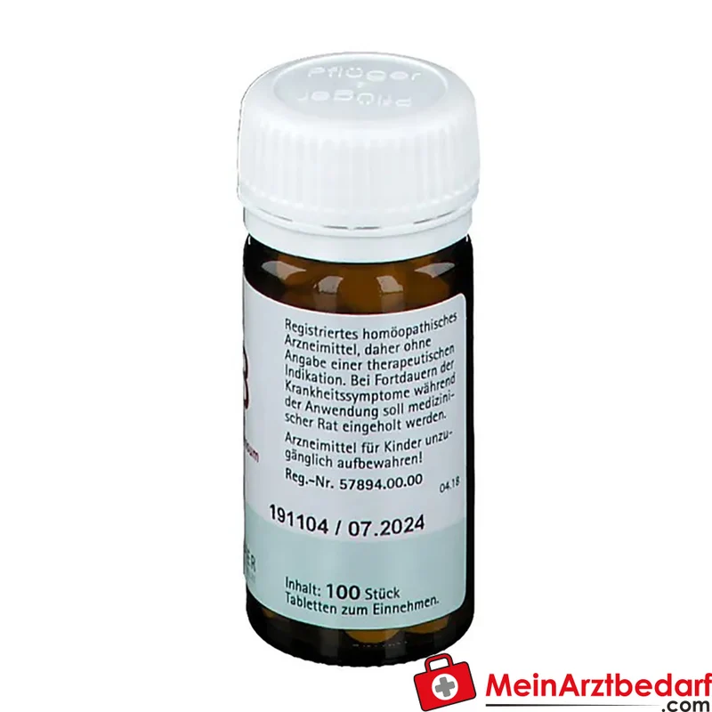 Biochemie Pflüger Nr. 13 Kalium arsenicosum D6 Tabletten 100 St