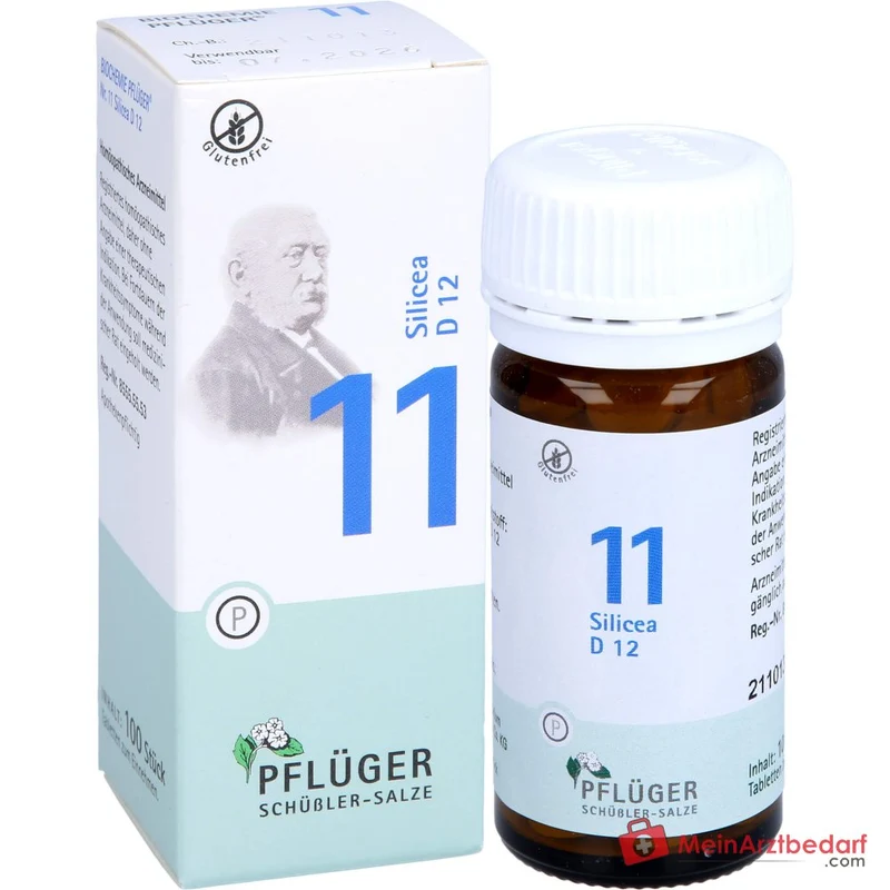 Biochemie Pflüger Nr. 11 Silicea Acidum silicicum D12 Tabletten, 100 St.