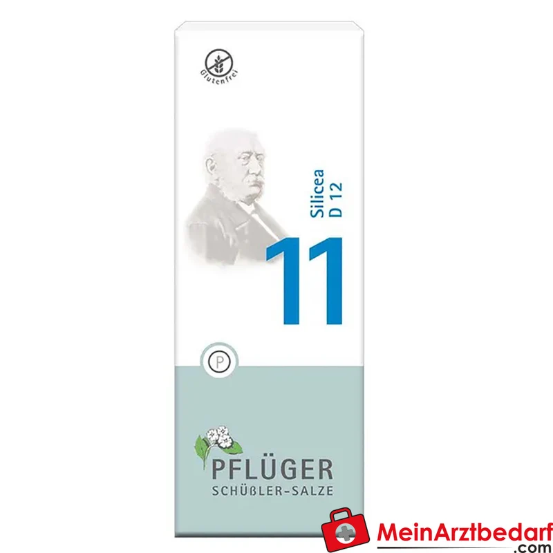 Biochemie Pflüger Nr. 11 Silicea Acidum silicicum D12 Tabletten, 100 St.
