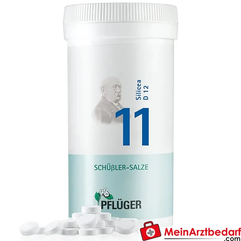 Biochemie Pflüger Nr. 11 Silicea Acidum silicicum D12 Tabletten, 100 St.
