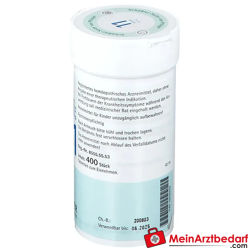 Biochemie Pflüger Nr. 11 Silicea Acidum silicicum D12 Tabletten, 100 St.