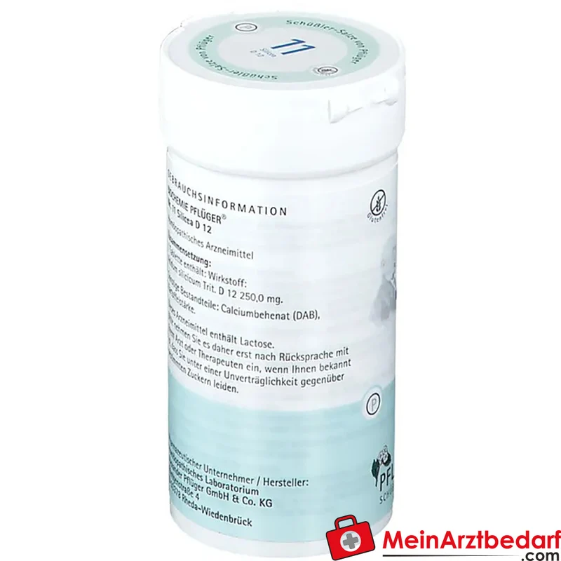 Biochemie Pflüger Nr. 11 Silicea Acidum silicicum D12 Tabletten, 100 St.