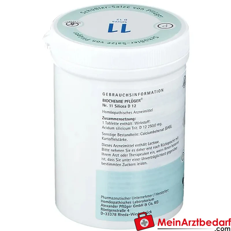 Biochemie Pflüger Nr. 11 Silicea Acidum silicicum D12 Tabletten, 100 St.