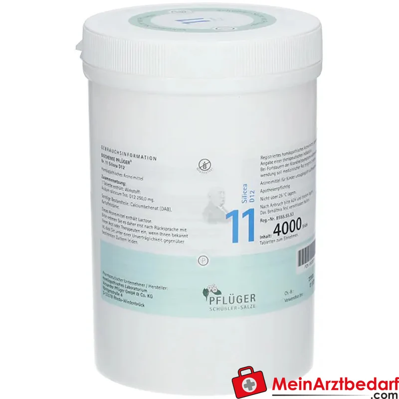 Biochemie Pflüger Nr. 11 Silicea Acidum silicicum D12 Tabletten, 100 St.