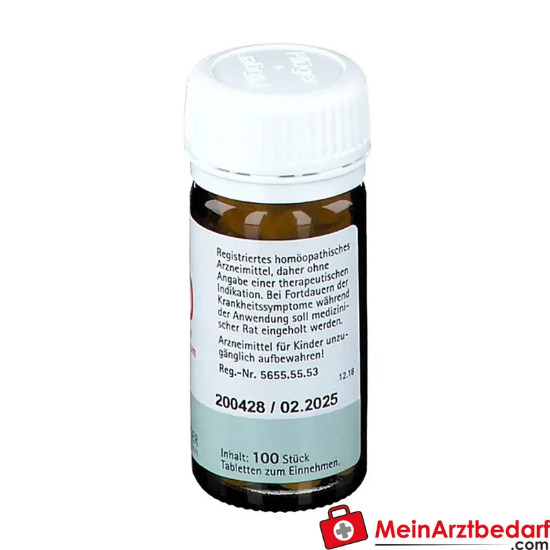 Biochemie Pflüger Nr. 10 Natrium sulfuricum D6 Tabletten Acidum silicicum D12 250 mg