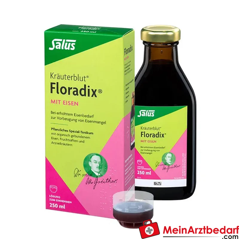 Floradix mit Eisen flüssiges Eisenpräparat 250 ml