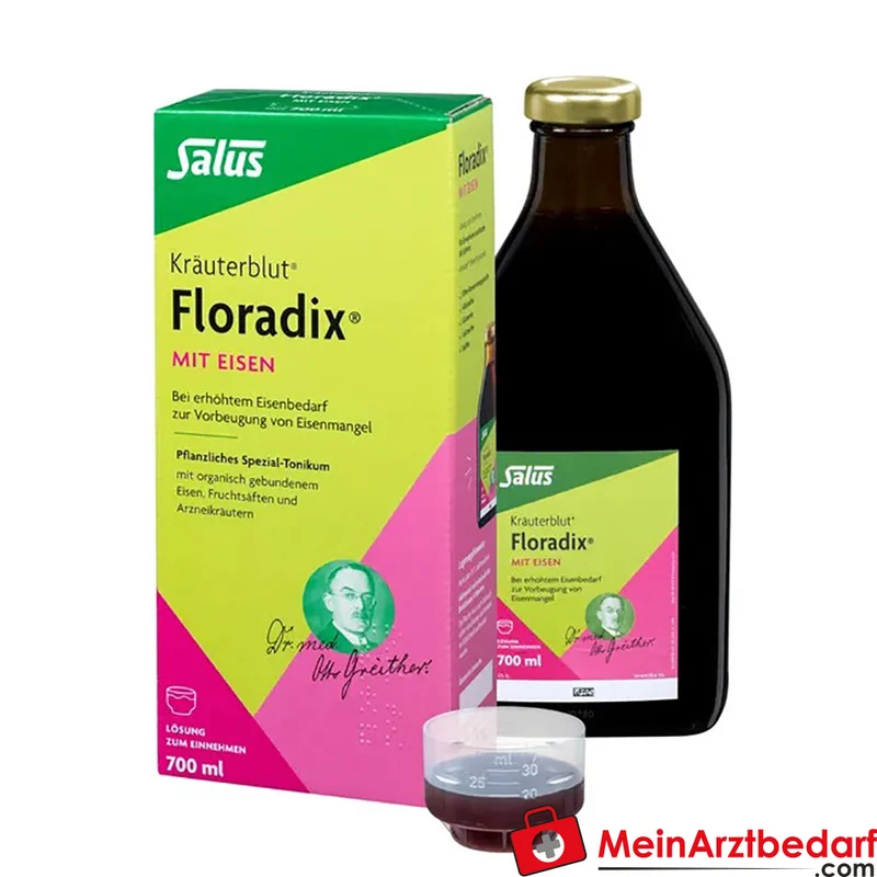 Floradix mit Eisen flüssiges Eisenpräparat 250 ml