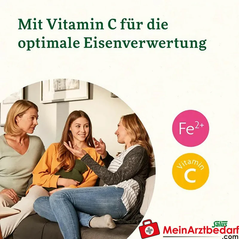 Salus Kräuterblut Floradix Eisen‑Folsäure 15 mg Eisen / 400 µg Folsäure Dragees 84 St.
