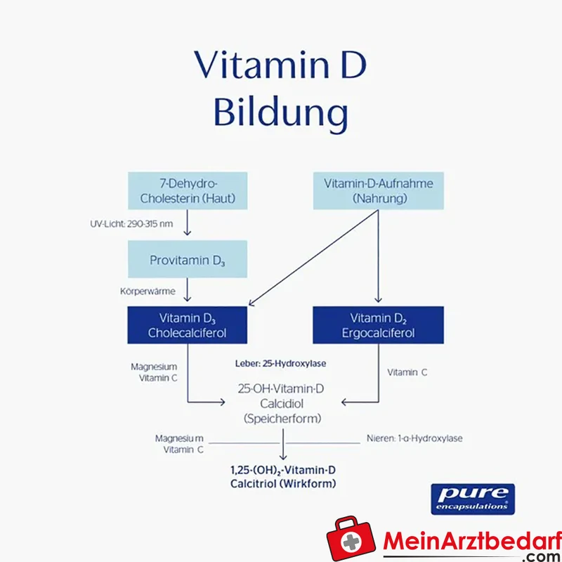 Pure Encapsulations Vitamin D3 1000 I.E. Colecalciferol Flüssigkeit 22,5 ml