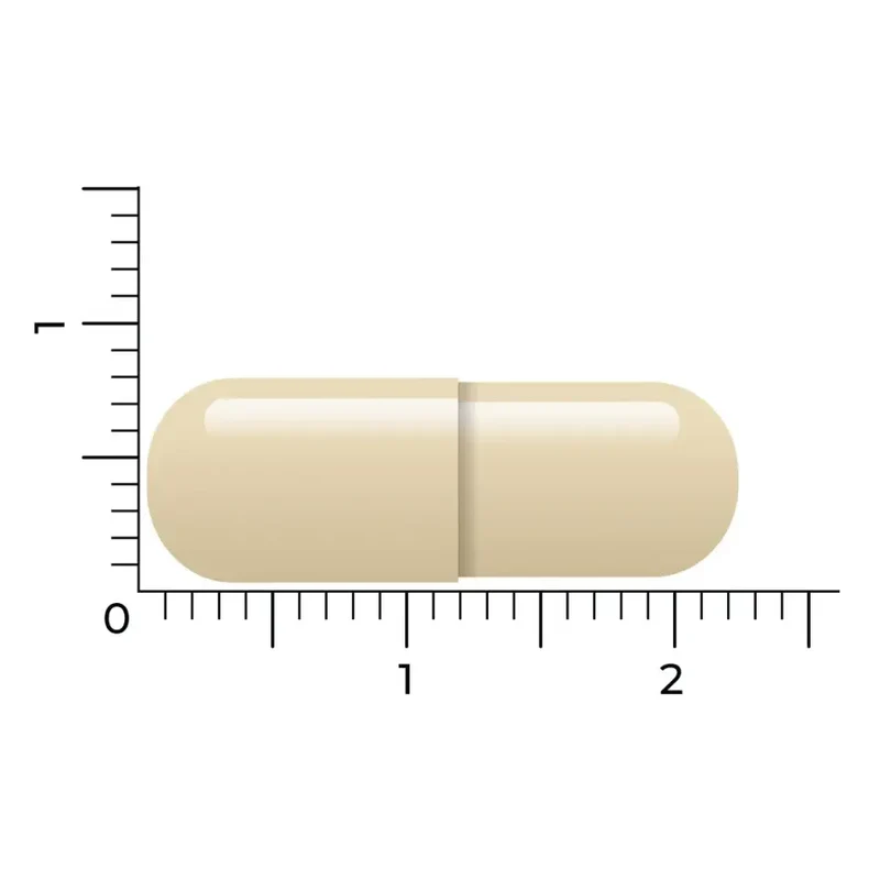 Vitakruid Gebufferde Vitamine C