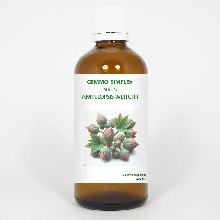 Balance Pharma Gemmo simplex 5 ampelopsis weitchii 100 ml