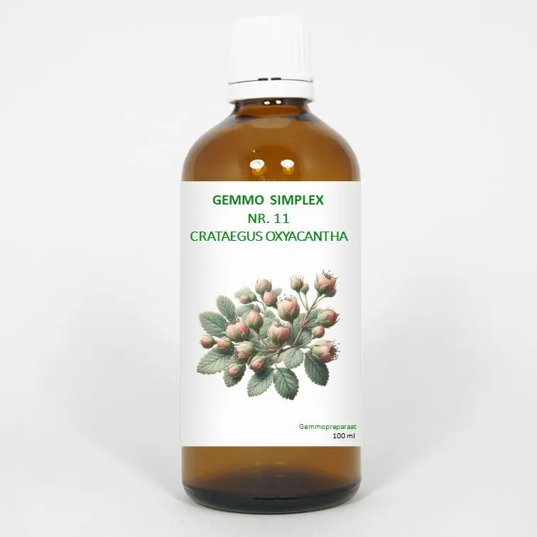 Balance Pharma Gemmo simplex 11 crataegus oxyacantha 100 ml