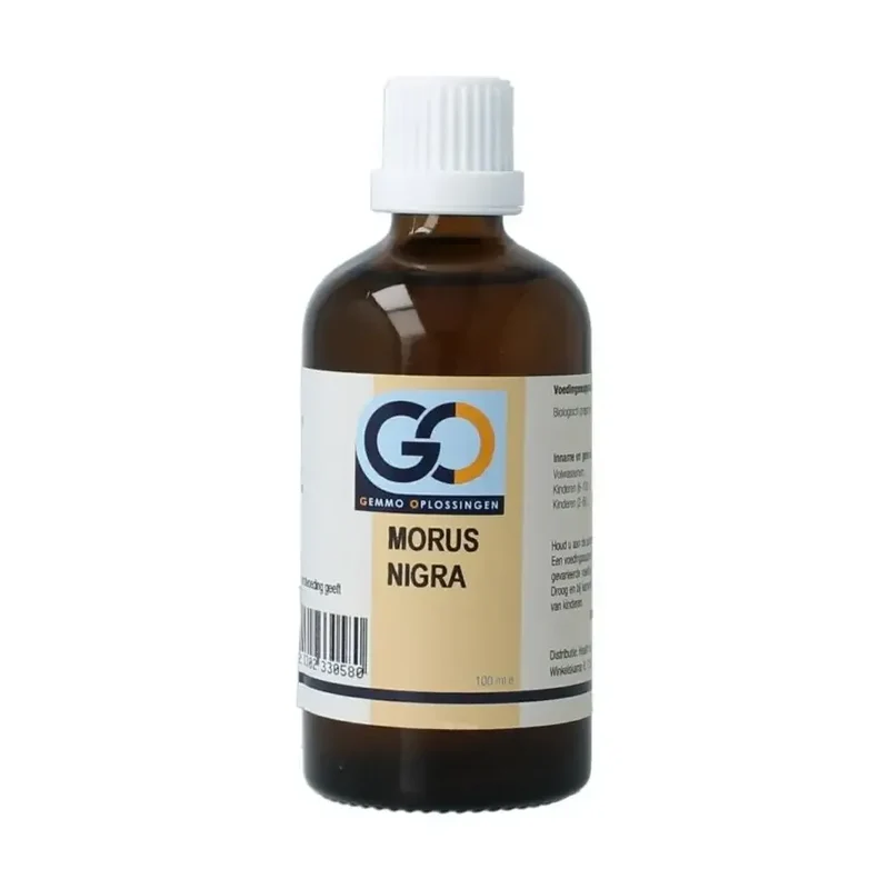 GO Morus nigra biologisch 100 ml